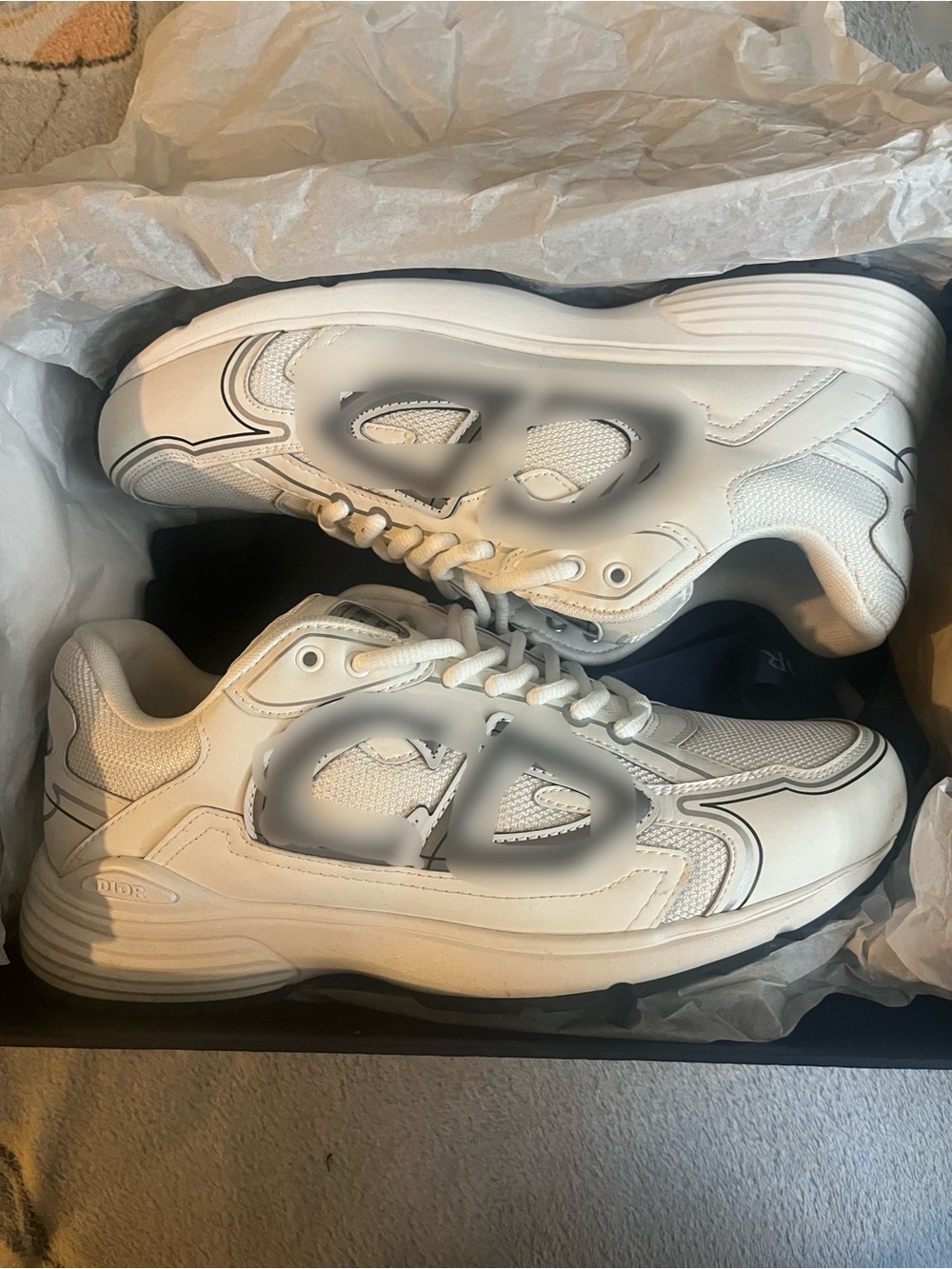 Dior B30 Men’s White Shoes